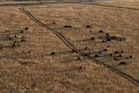 Masai Mara 2023