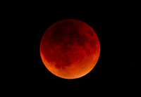 Blood Moon